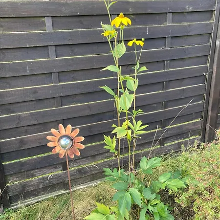 Seenplatte مالتشو